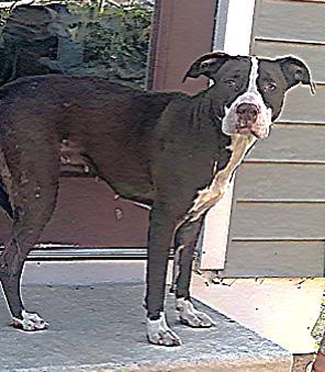 LULU — thumbnail 5