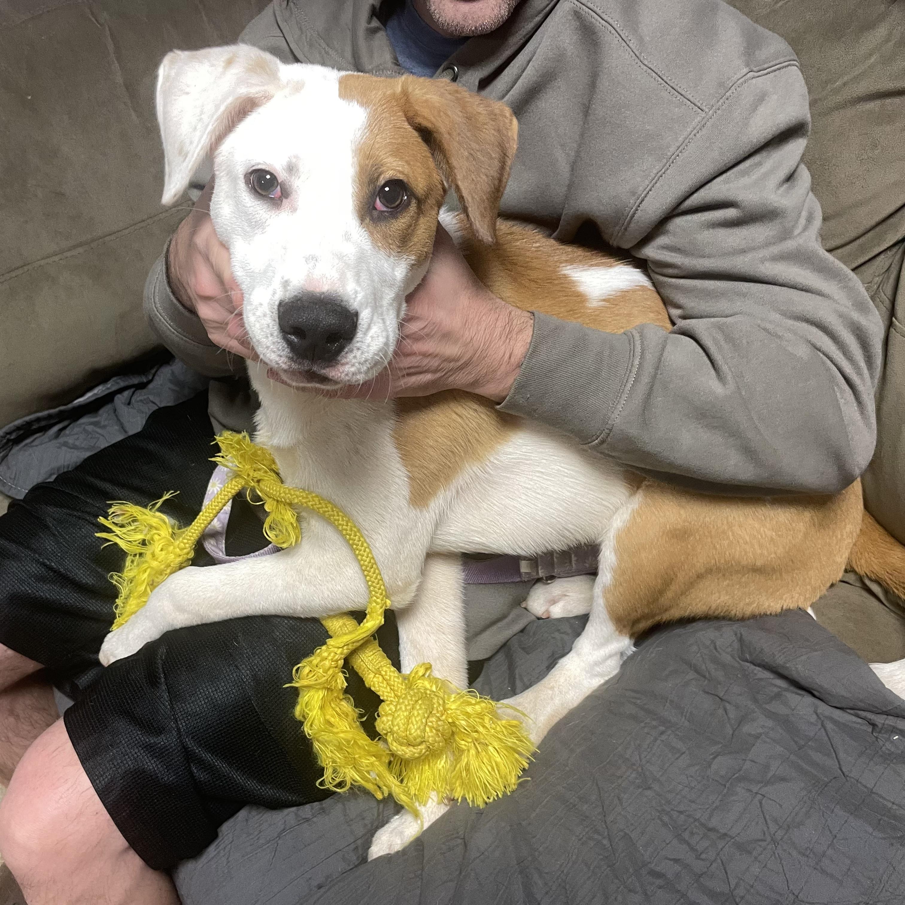 Shiloh photo