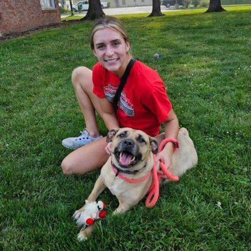 Enlarge Myrtle, a Adoptable Mixed Breed in Youngstown, OH image 12/12