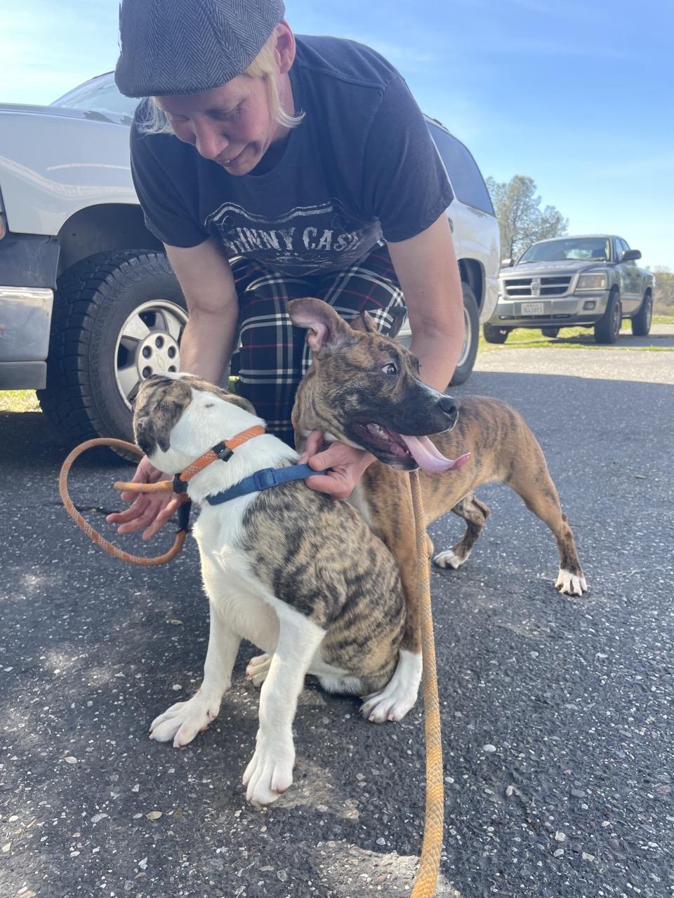 Crystal — thumbnail 4