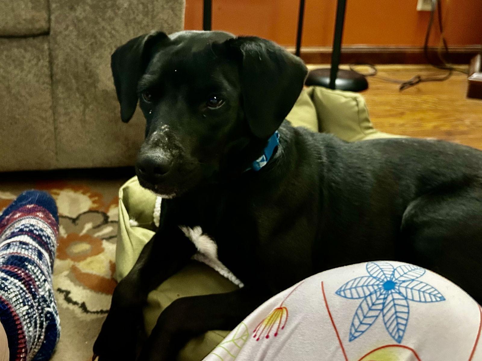 Stella  Kk thumbnail 2