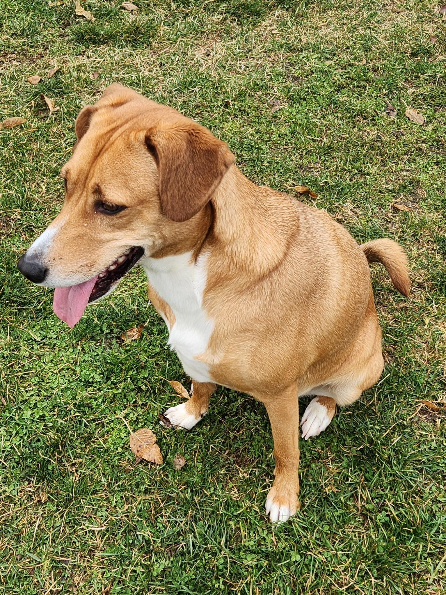 Destiny — thumbnail 3