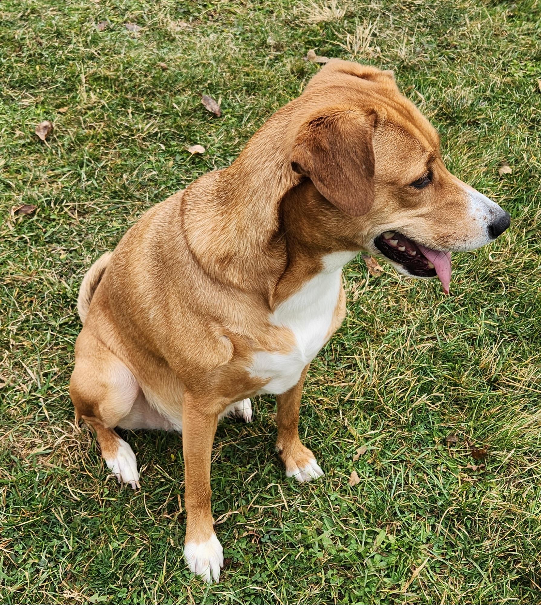 Destiny — thumbnail 5