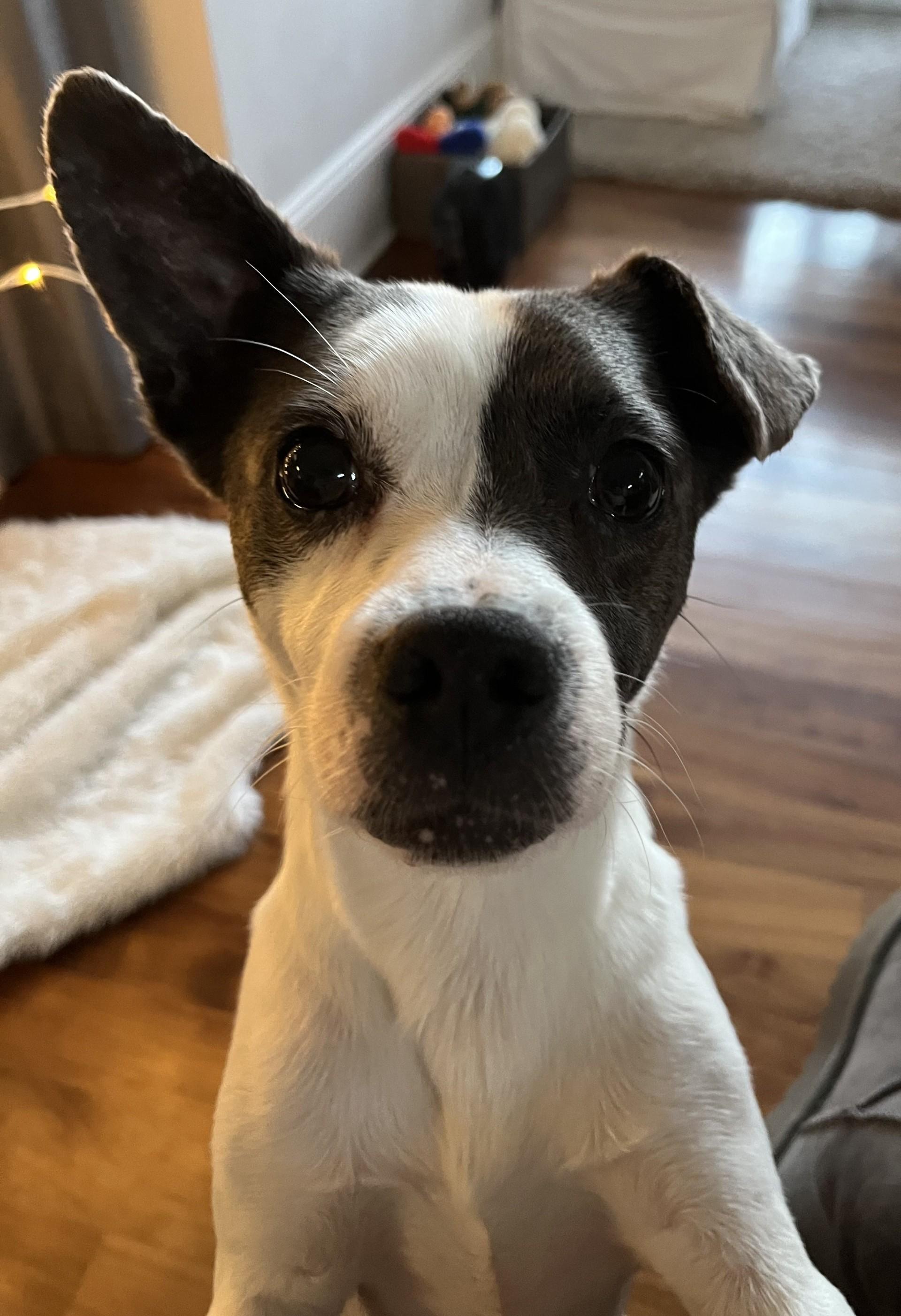 Ivey And Toretto thumbnail 2