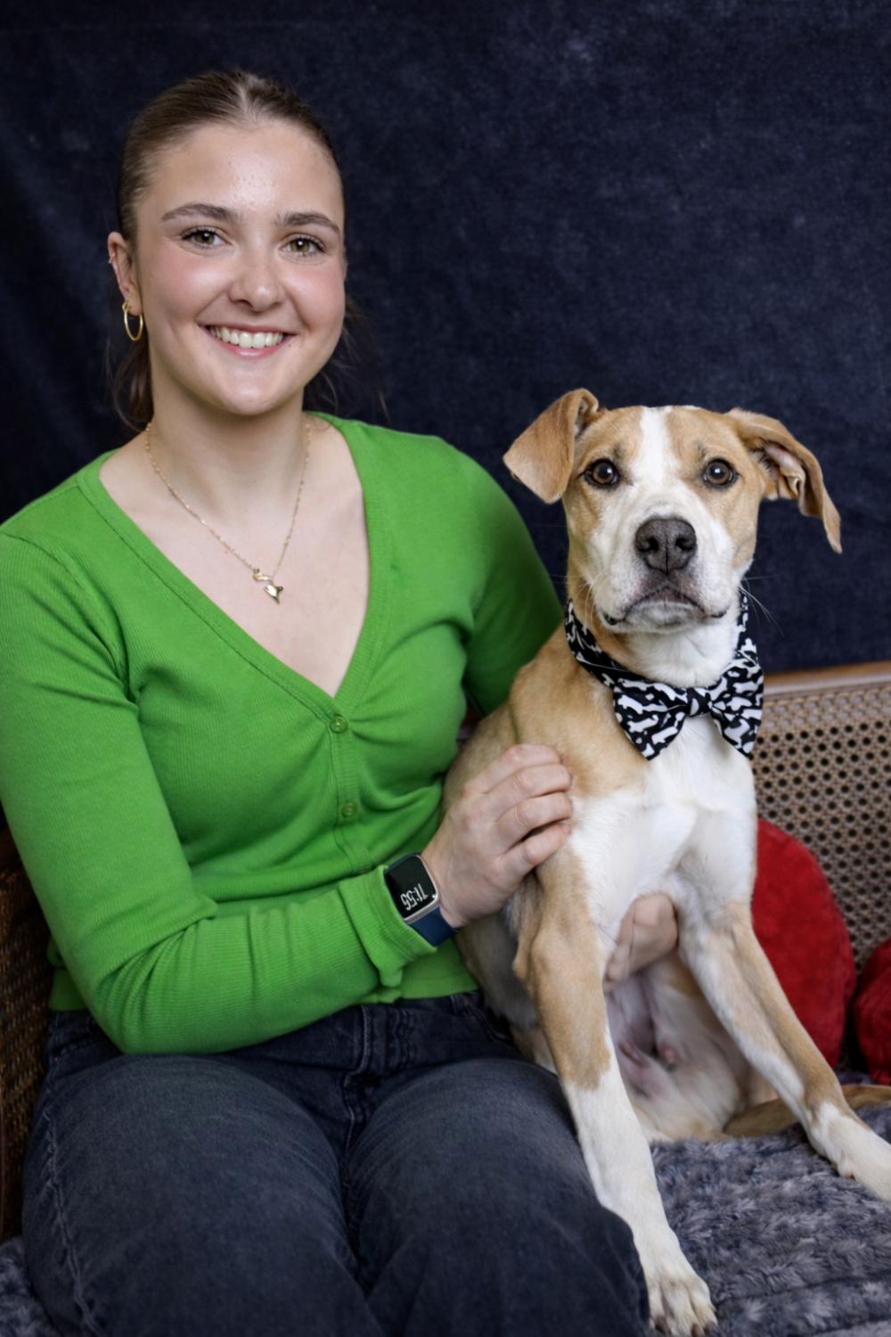 Enlarge Rumble, an adopted mixed breed in Cheboygan, MI image 6/6