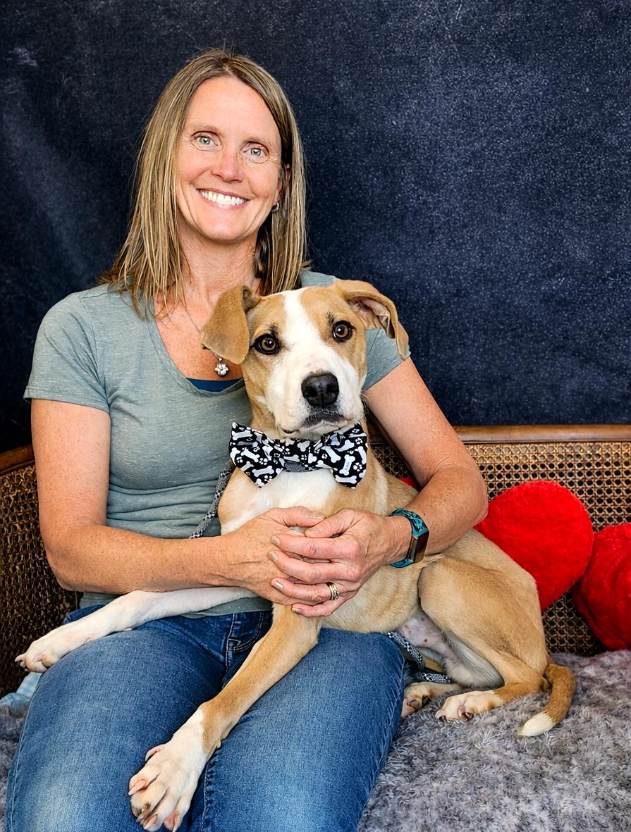 Enlarge Rumble, an adopted mixed breed in Cheboygan, MI image 2/6