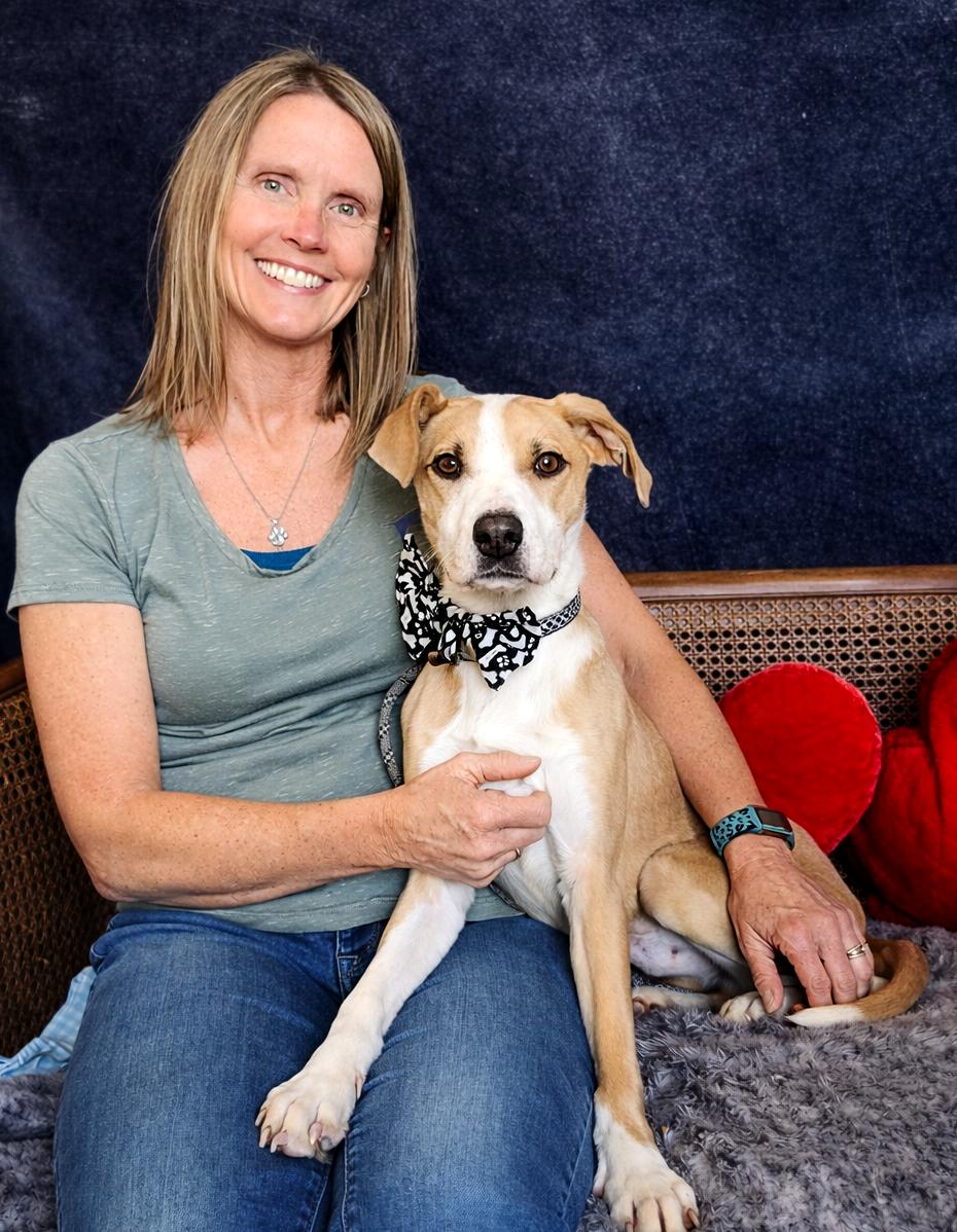 Enlarge Rumble, an adopted mixed breed in Cheboygan, MI image 3/6