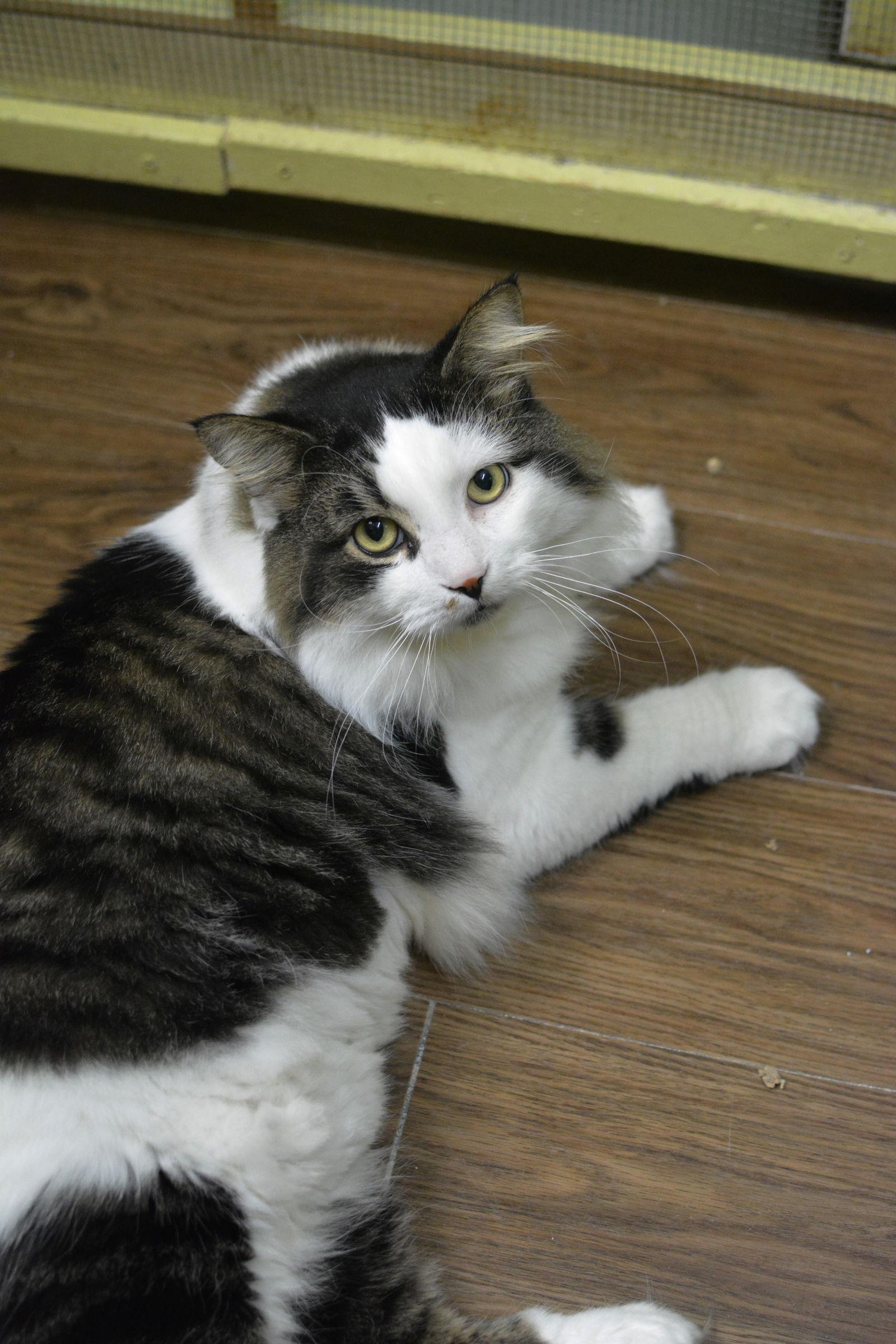 Jeannot — thumbnail 3