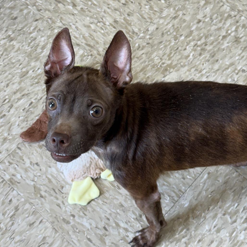 Oscar 22346 — thumbnail 2