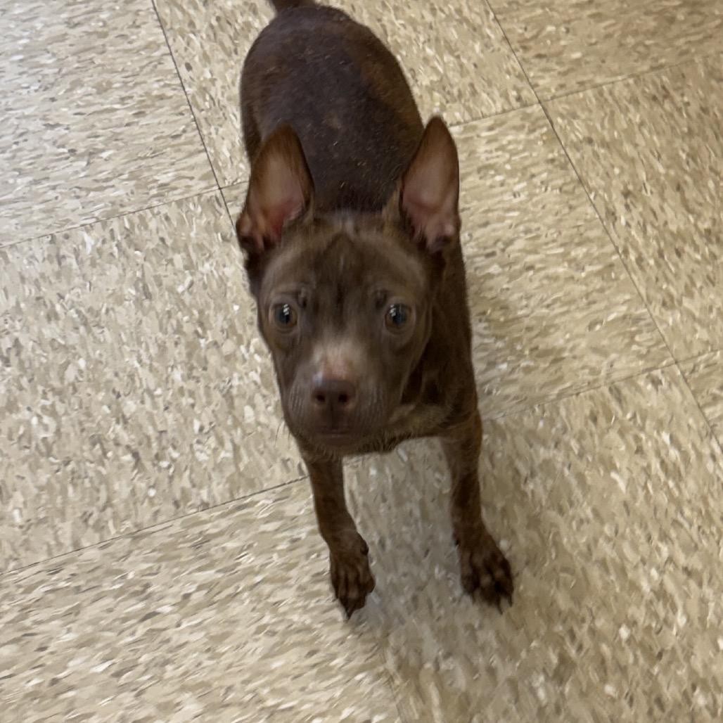 Oscar 22346 — thumbnail 4