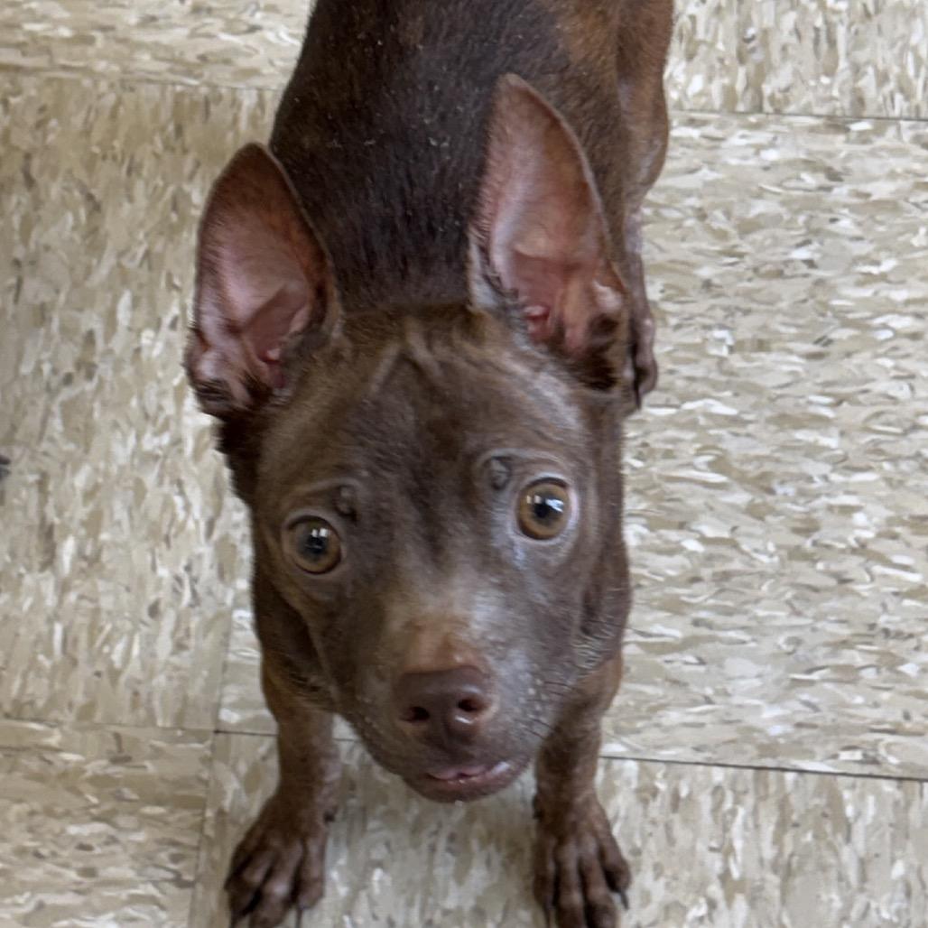 Oscar 22346 — thumbnail 5