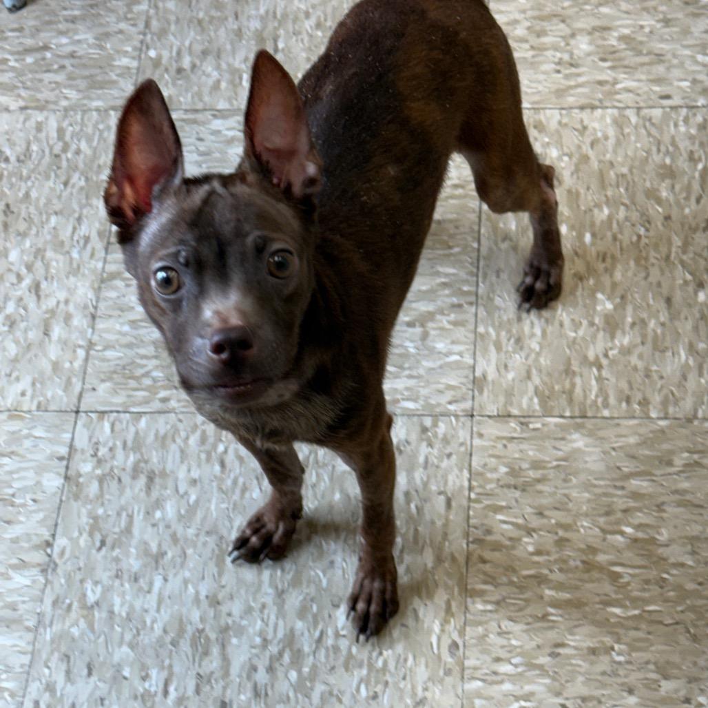 Oscar 22346 — thumbnail 6