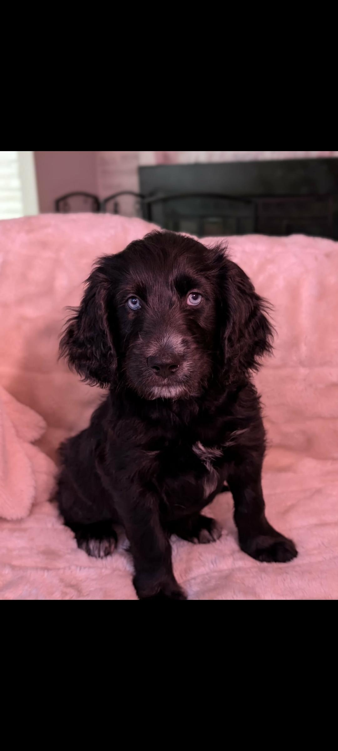 Bobby Jo thumbnail 3