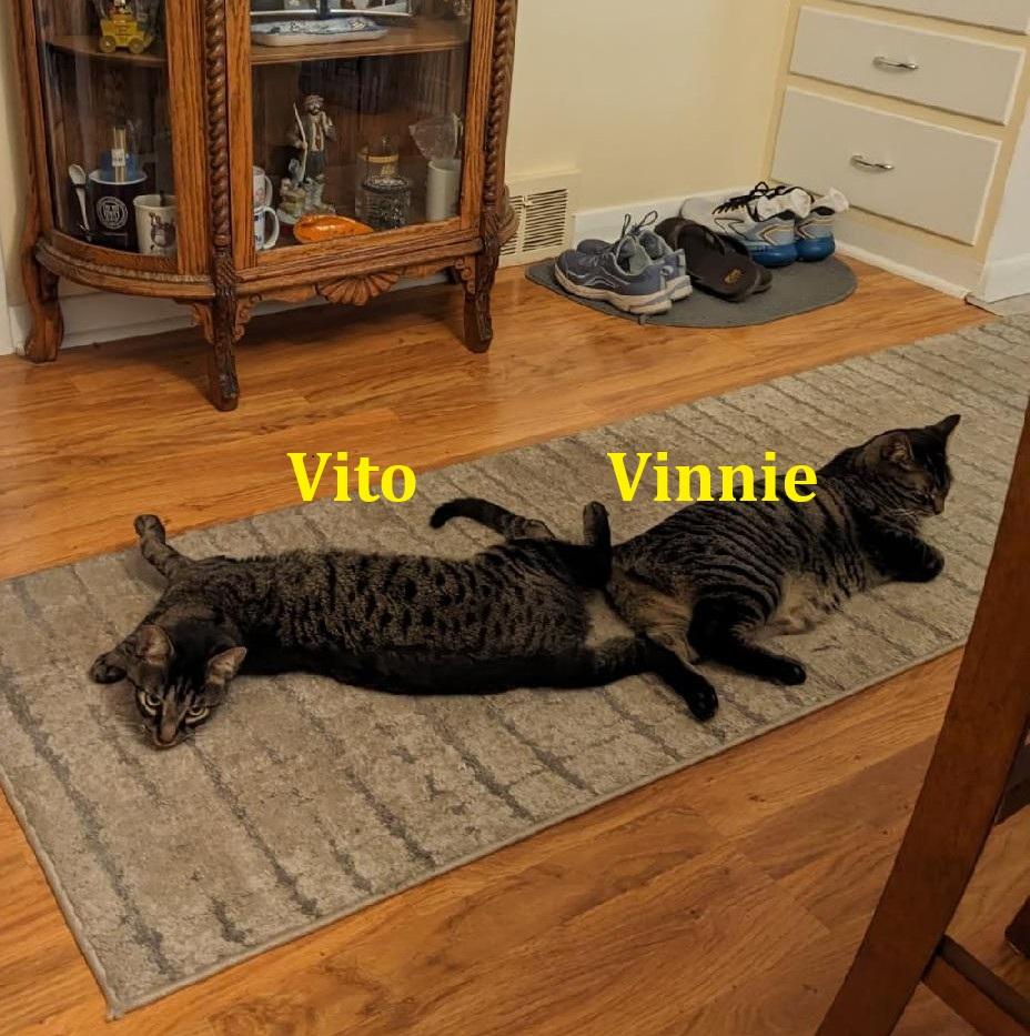 Vito & Vinnie