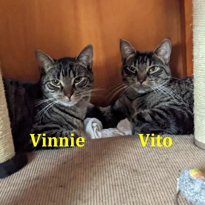 Vito & Vinnie