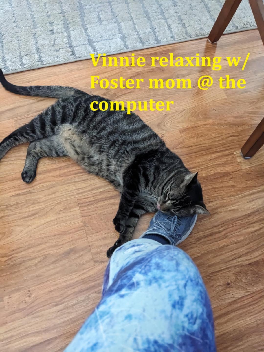 Vito & Vinnie 5