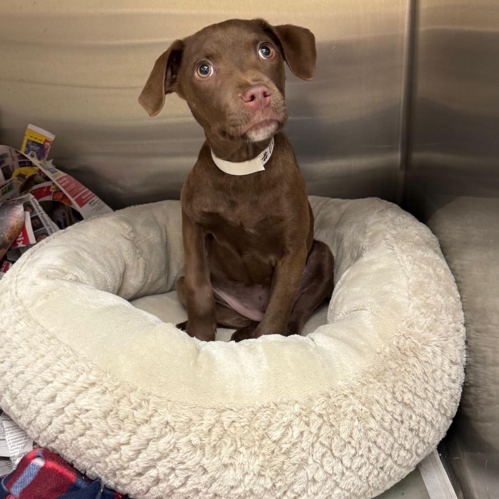 Libby — thumbnail 2