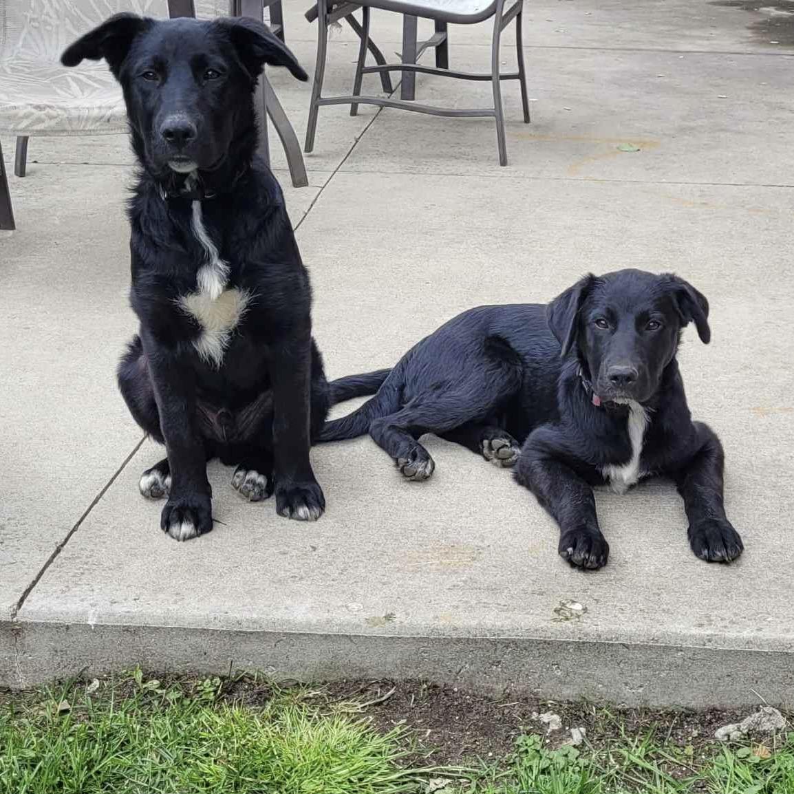 Felix (20250612-01) — thumbnail 2