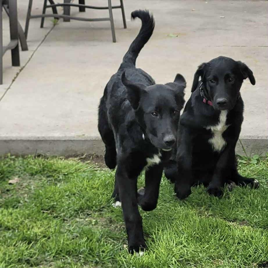 Felix (20250612-01) — thumbnail 4