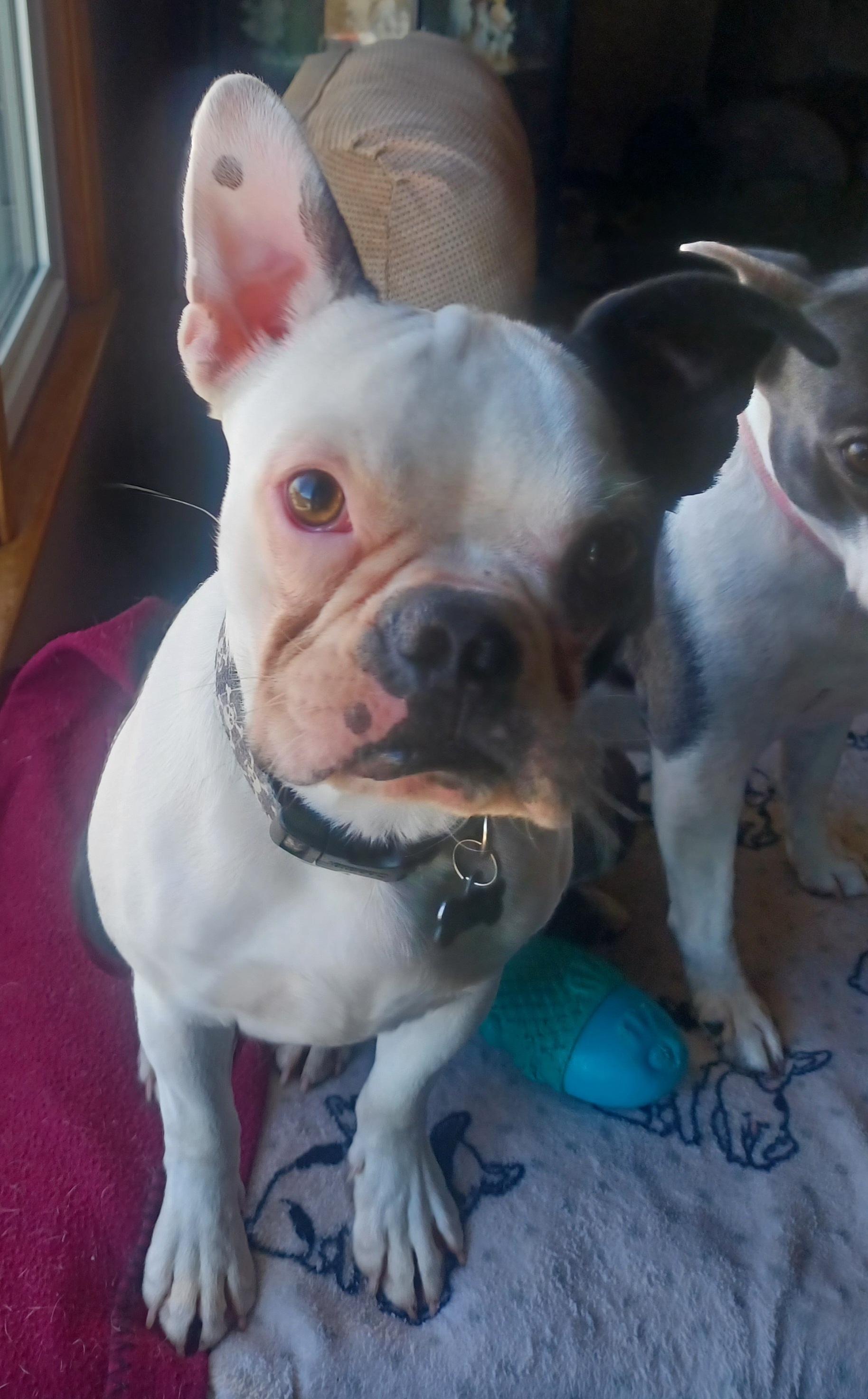 Nick In Mo thumbnail 2