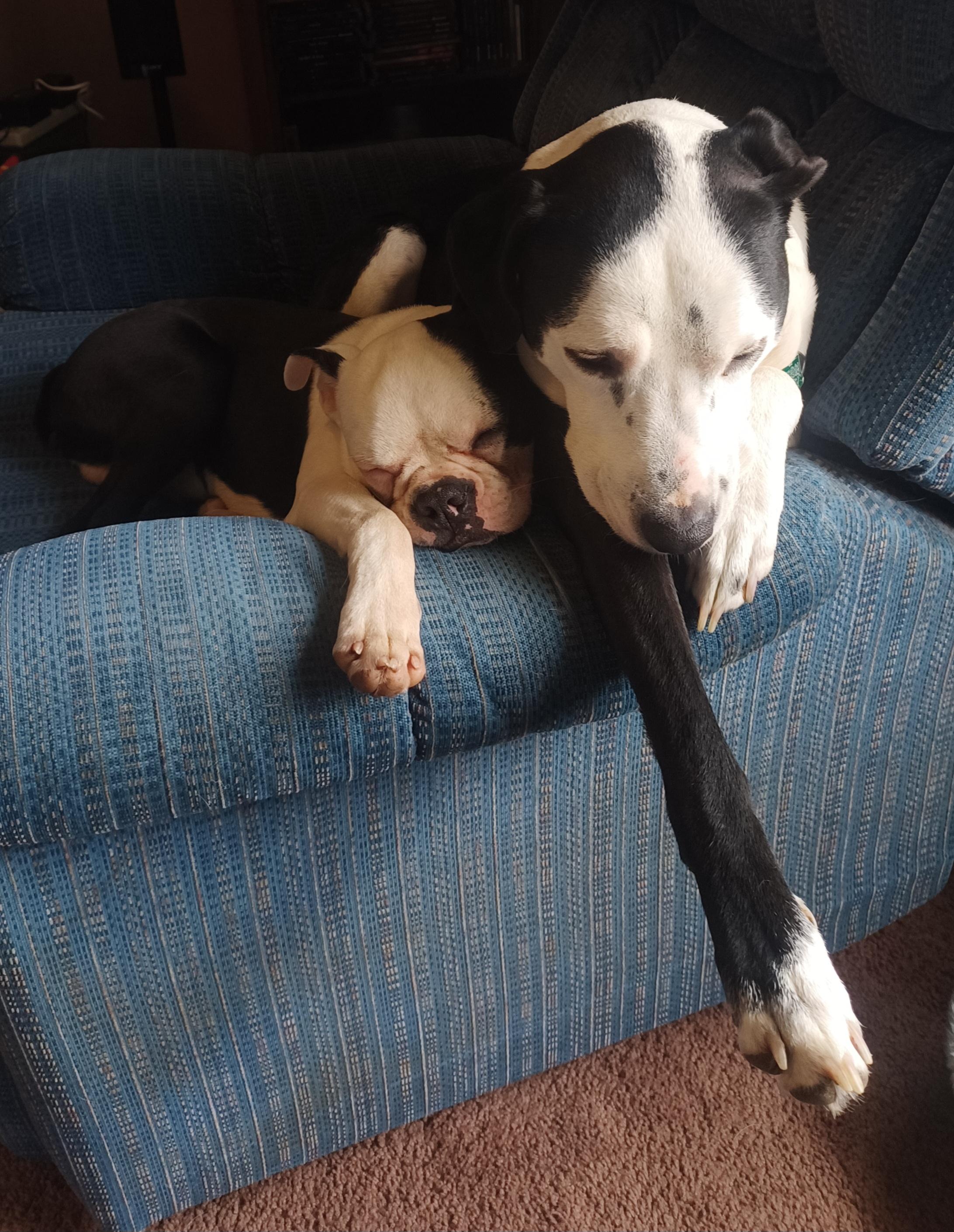 Nick In Mo thumbnail 3