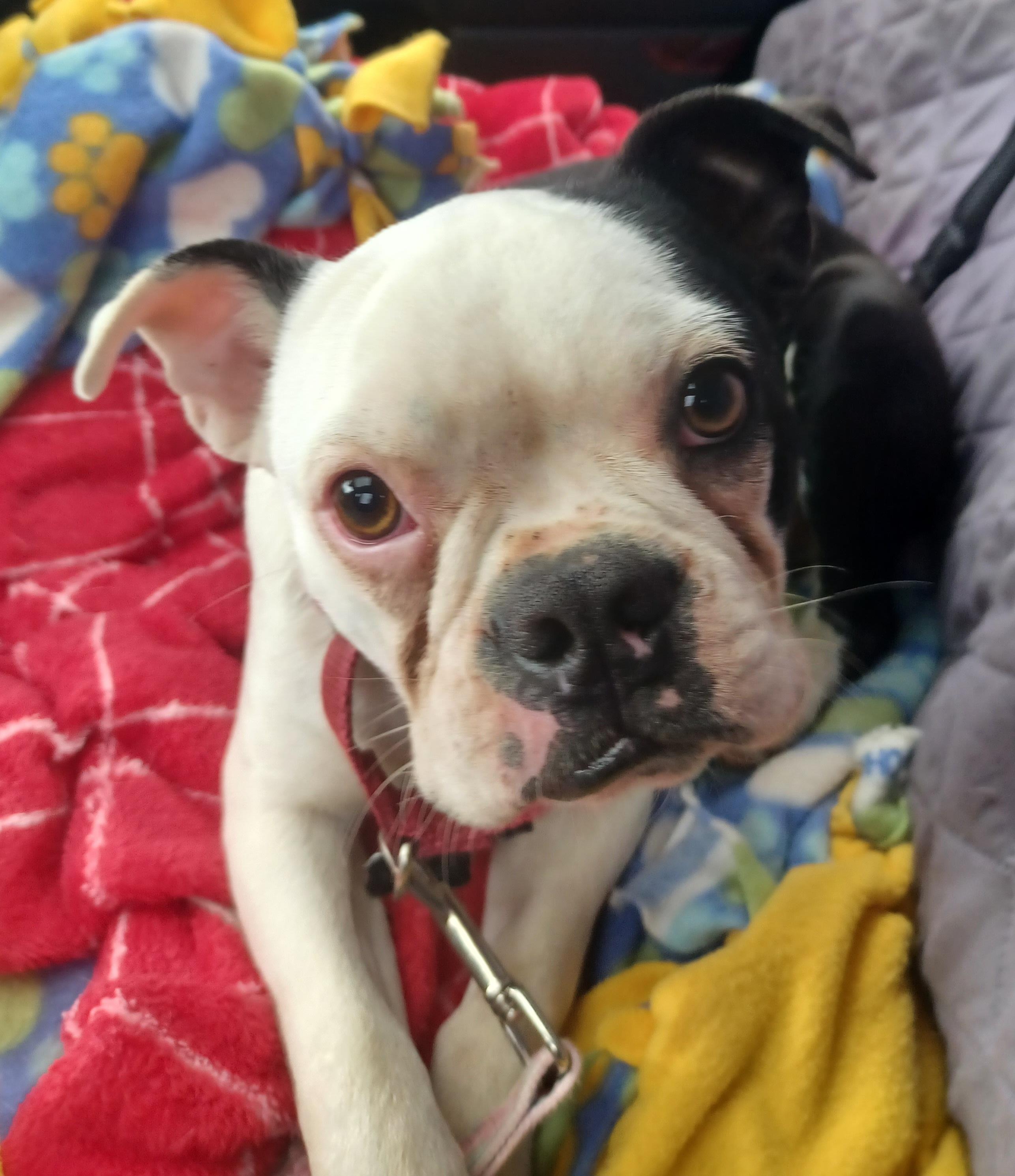 Nick In Mo thumbnail 4