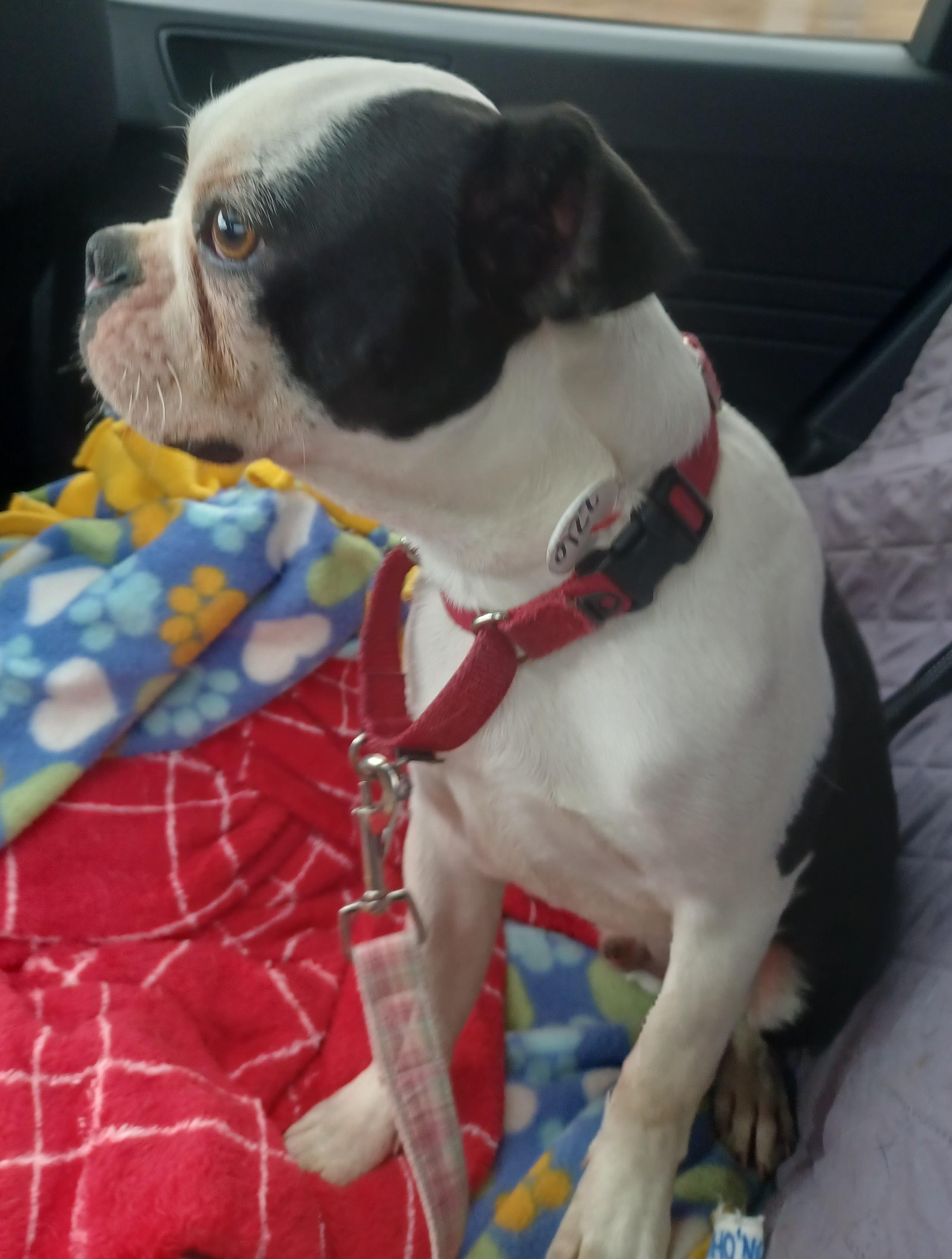 Nick In Mo thumbnail 5