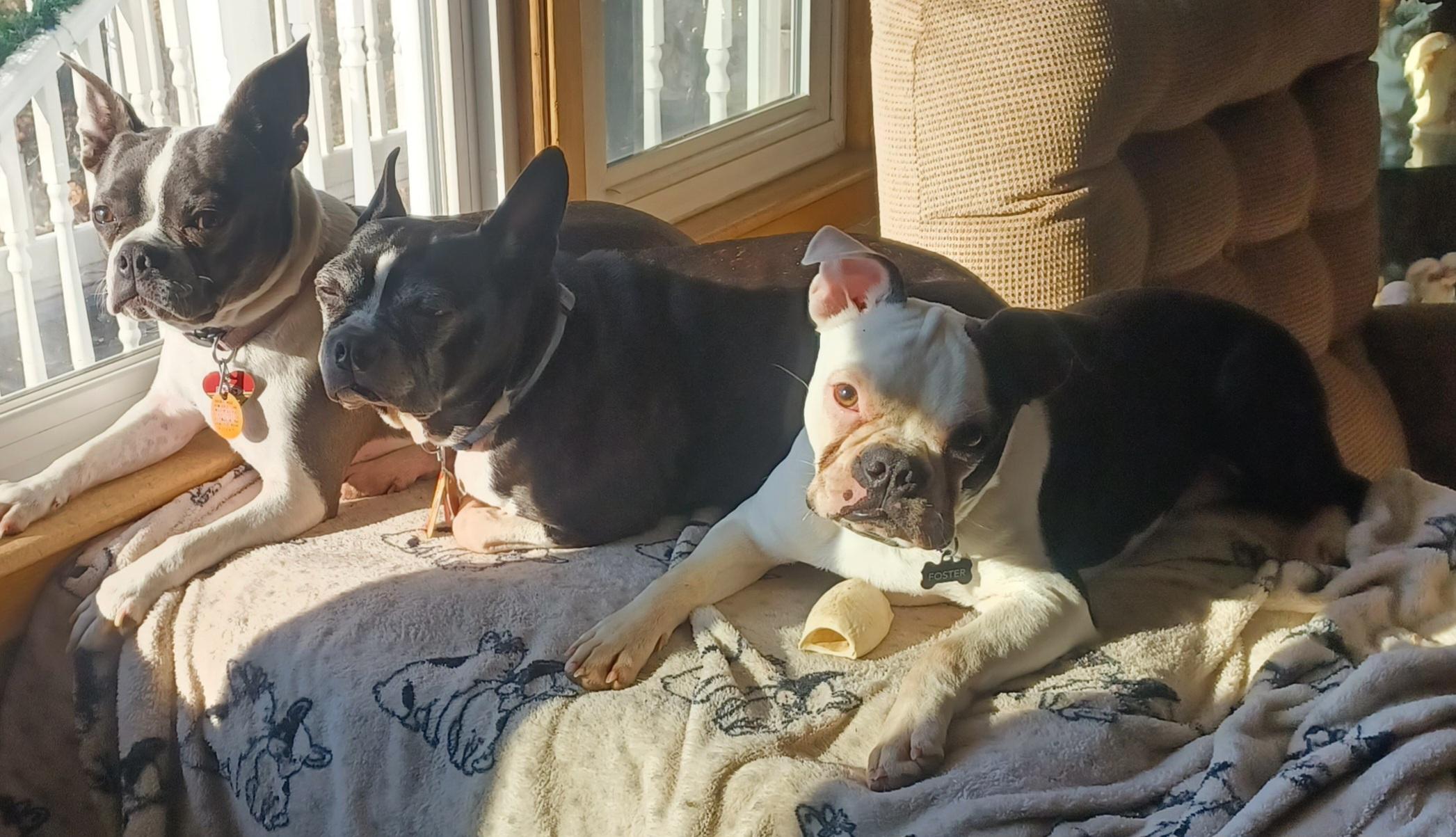 Nick In Mo thumbnail 6