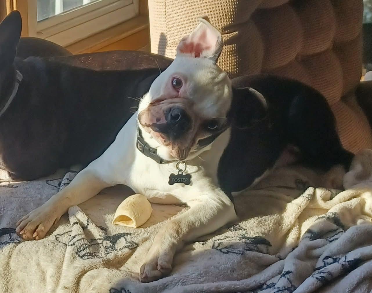 Nick In Mo thumbnail 7