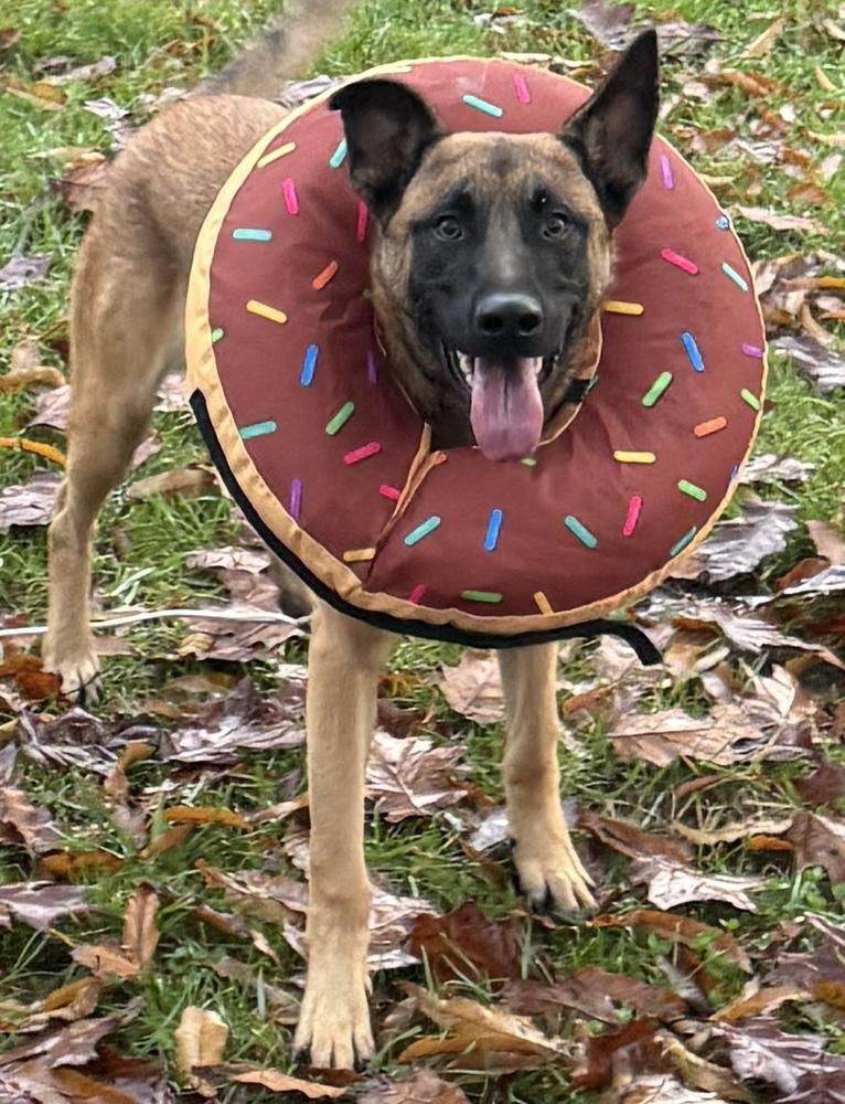 Jaxson  Located In thumbnail 3