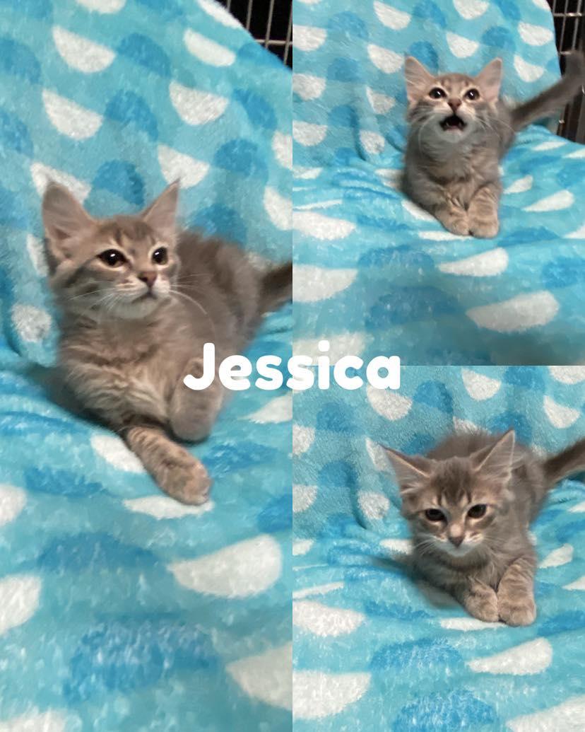 Jessica