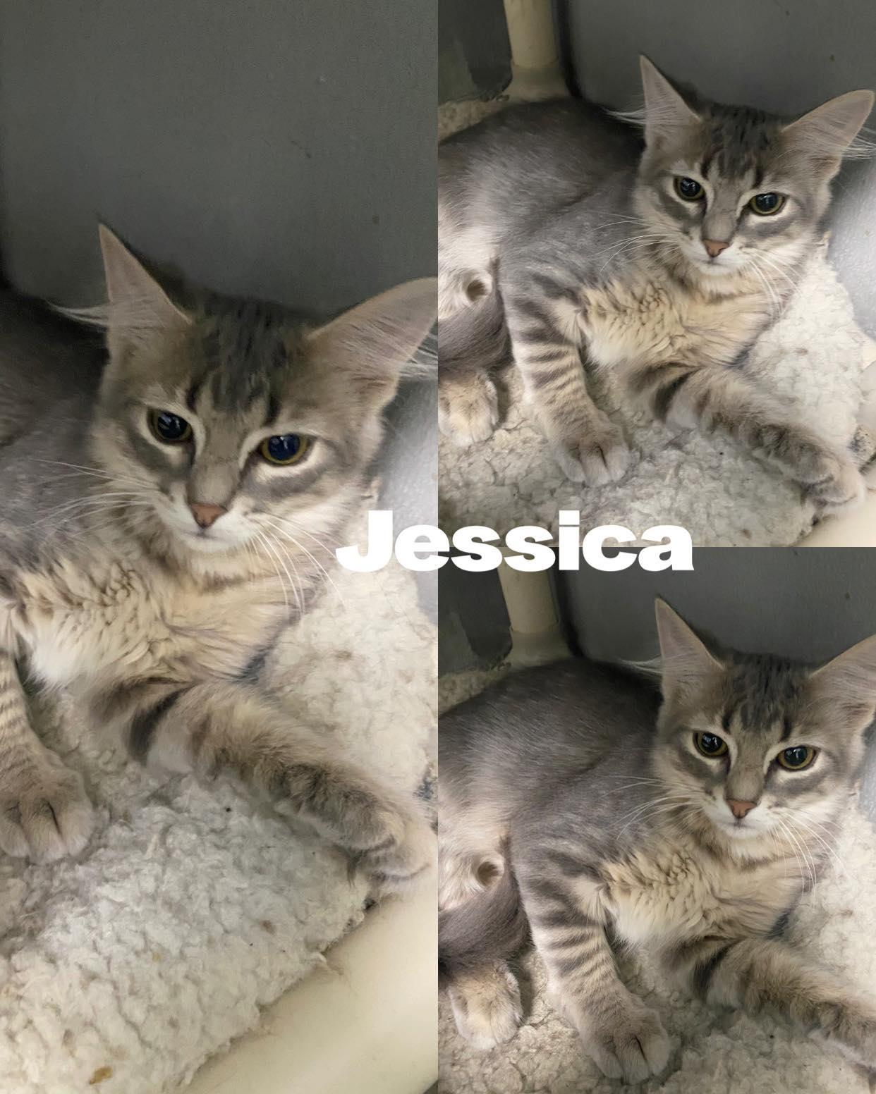 Jessica
