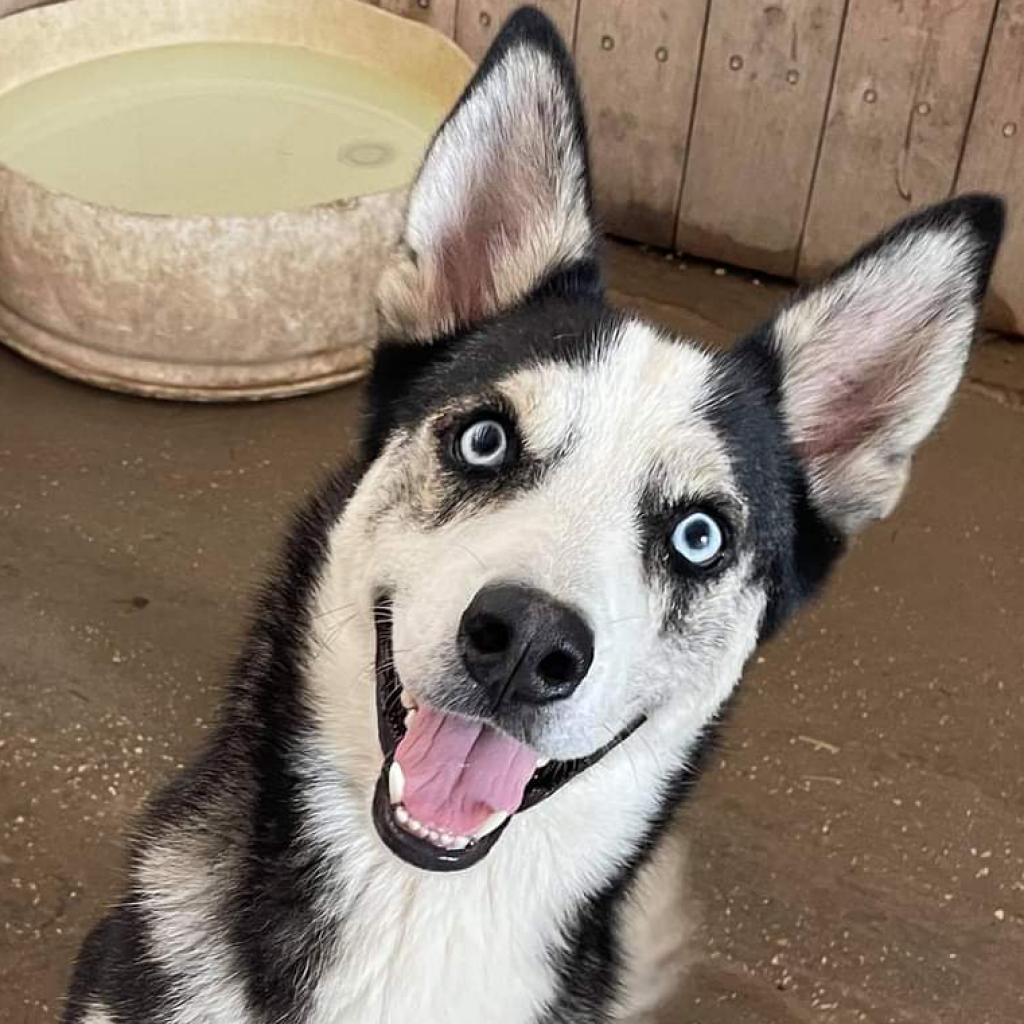 Haku JuM* — thumbnail 2