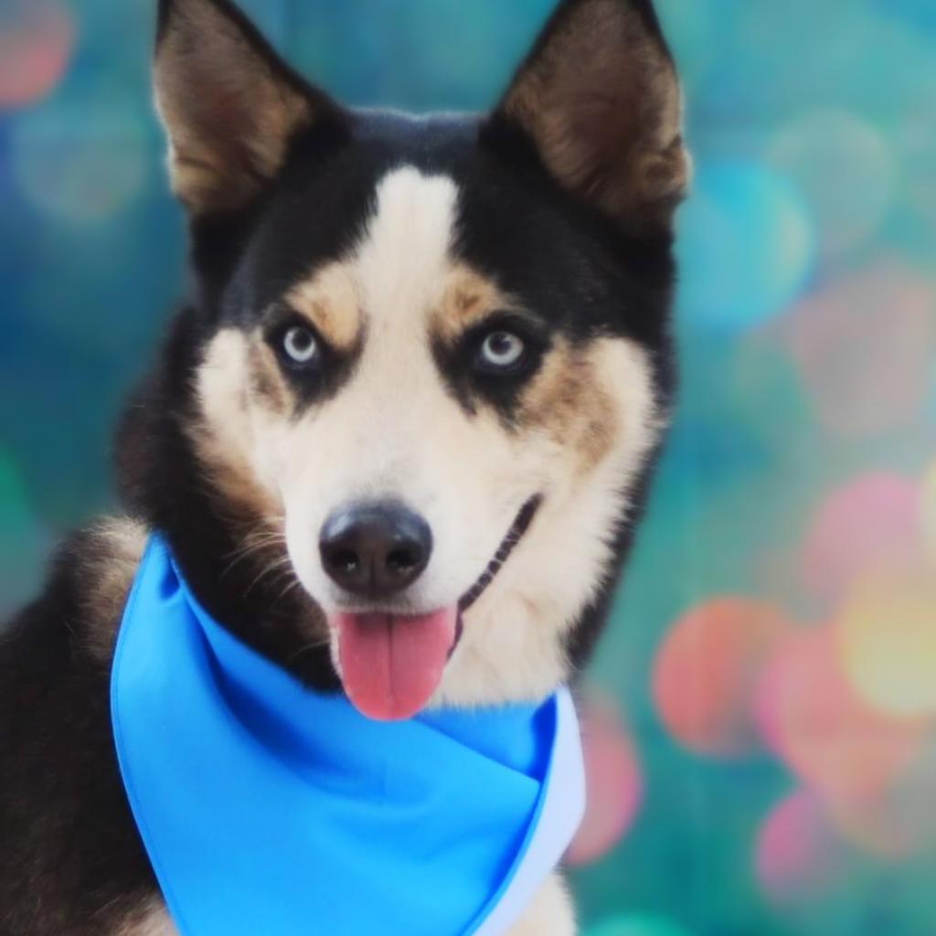 Haku JuM* — thumbnail 3