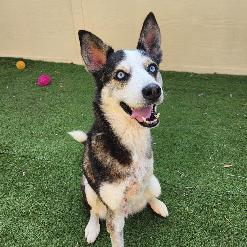 Haku JuM* — thumbnail 4