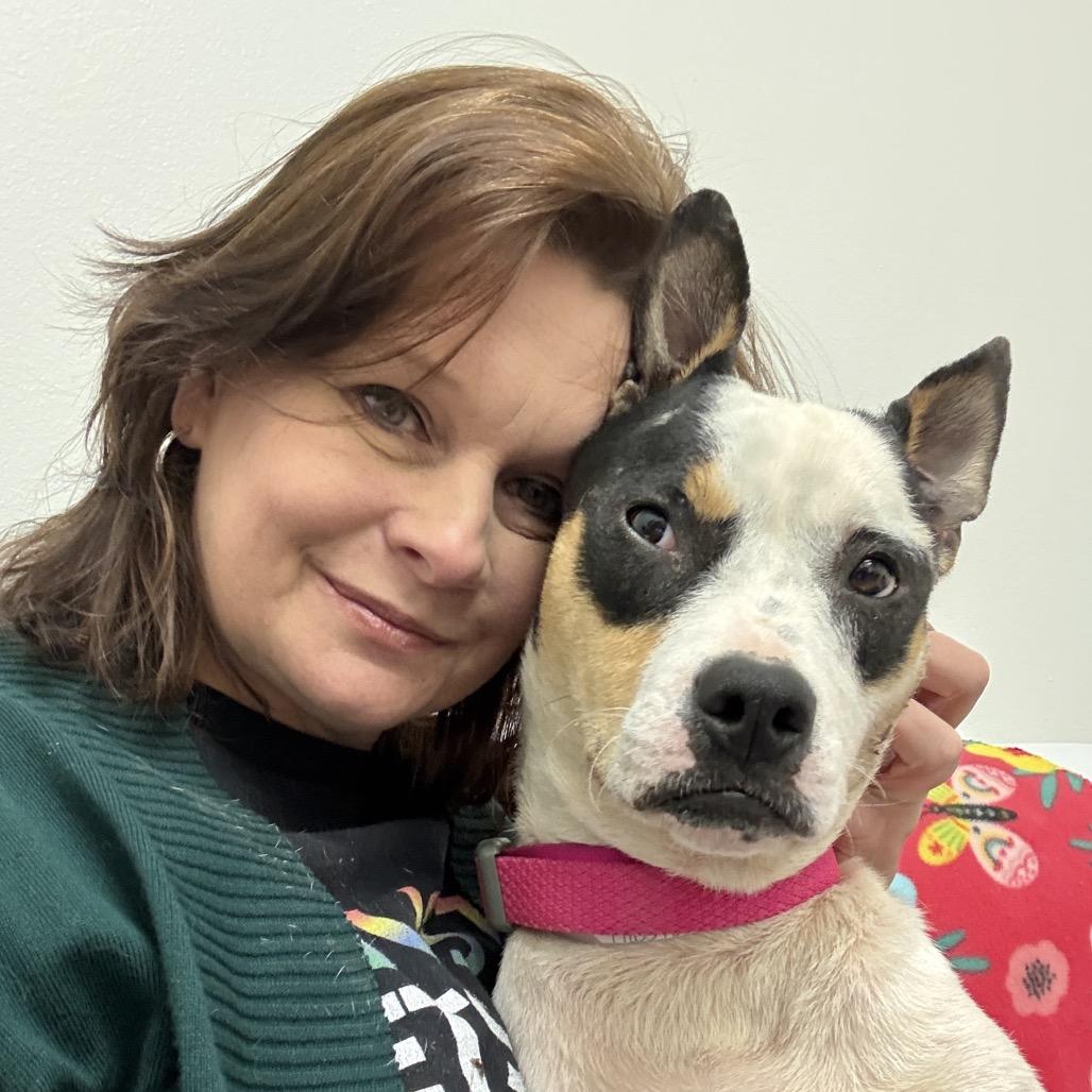 Enlarge Tia, a Adoptable Mixed Breed in Houston, TX image 3/4