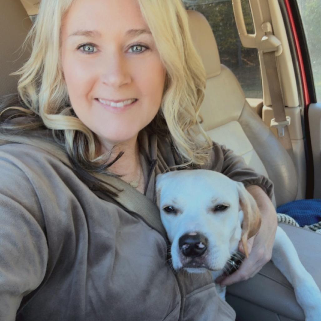 Enlarge Copper, a Adoptable mixed breed in Austell, GA image 3/6