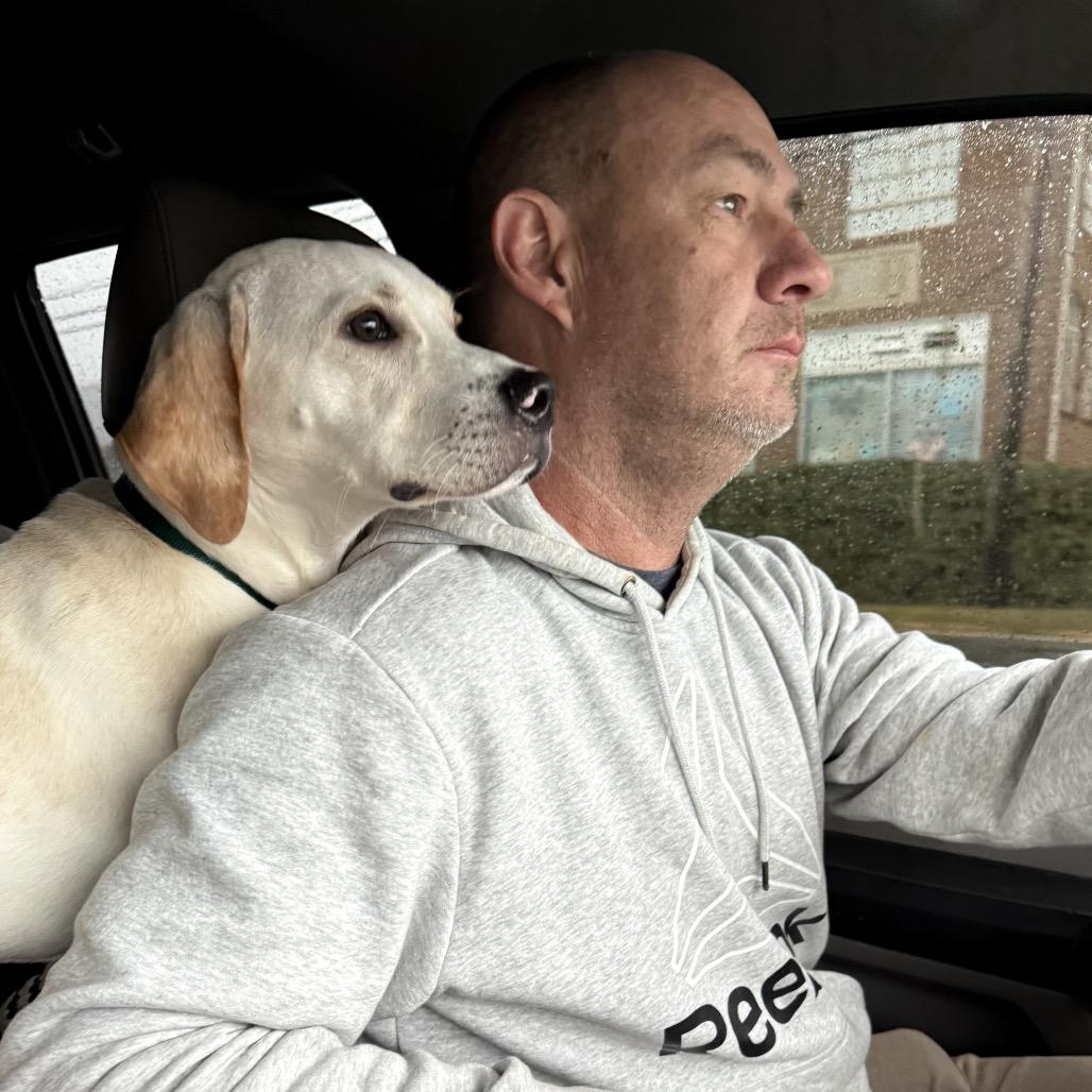 Enlarge Copper, a Adoptable mixed breed in Austell, GA image 5/6