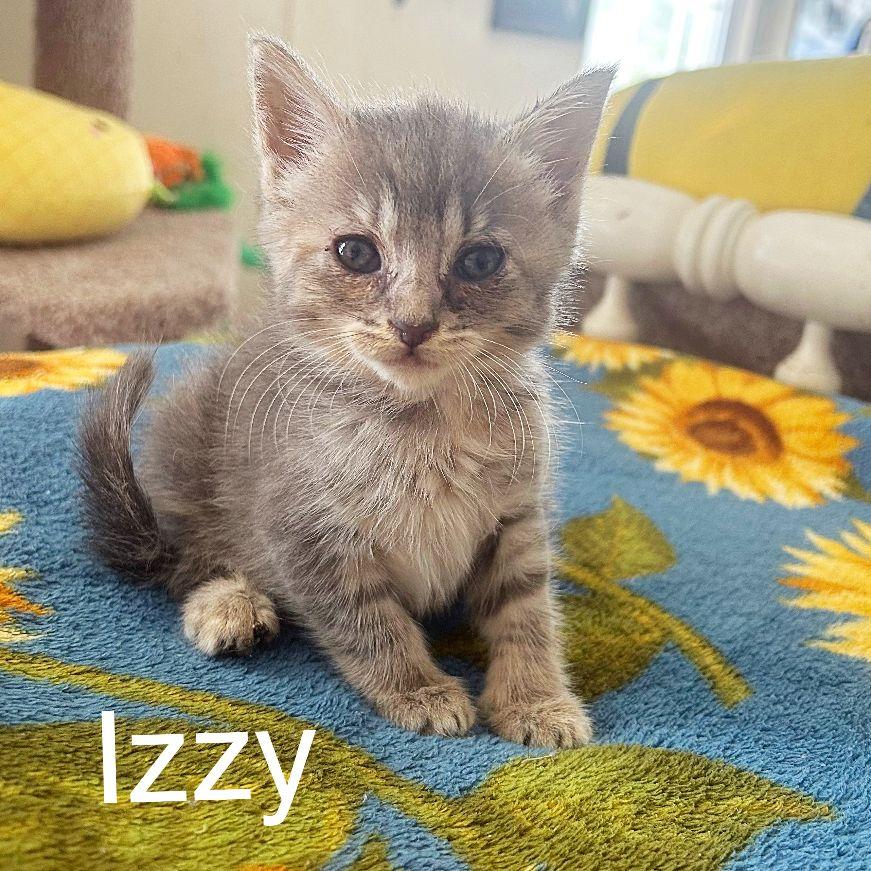 Izzy