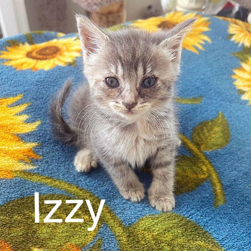 Izzy