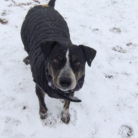 Jelly — thumbnail 3