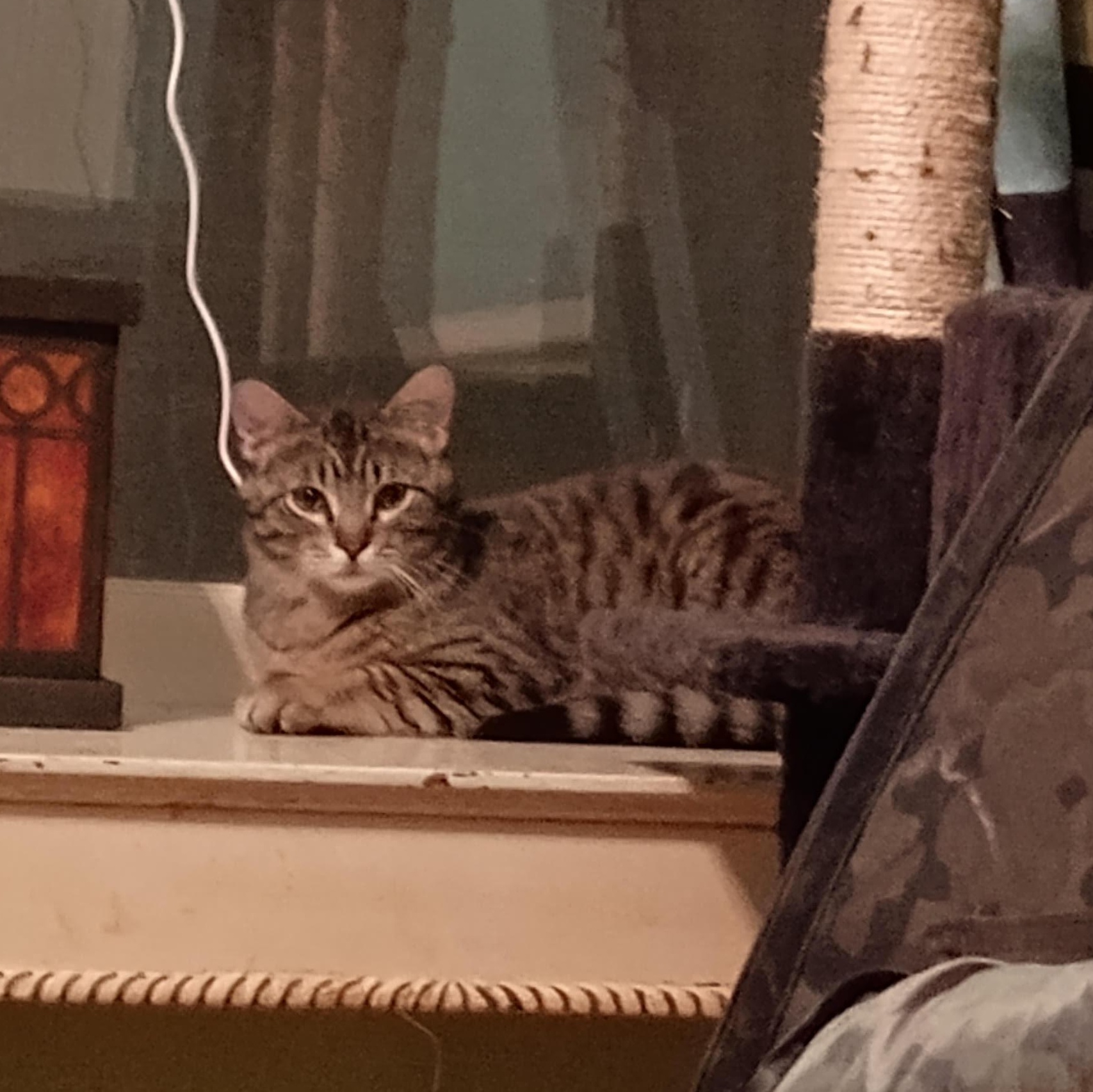 Jasper