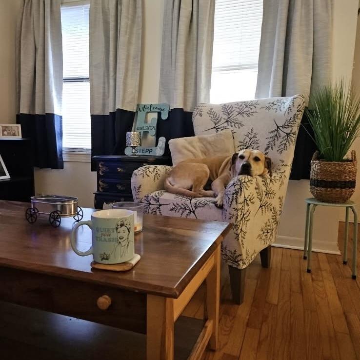 Enlarge Tammy, a Adoptable mixed breed in Beaumont, TX image 3/6