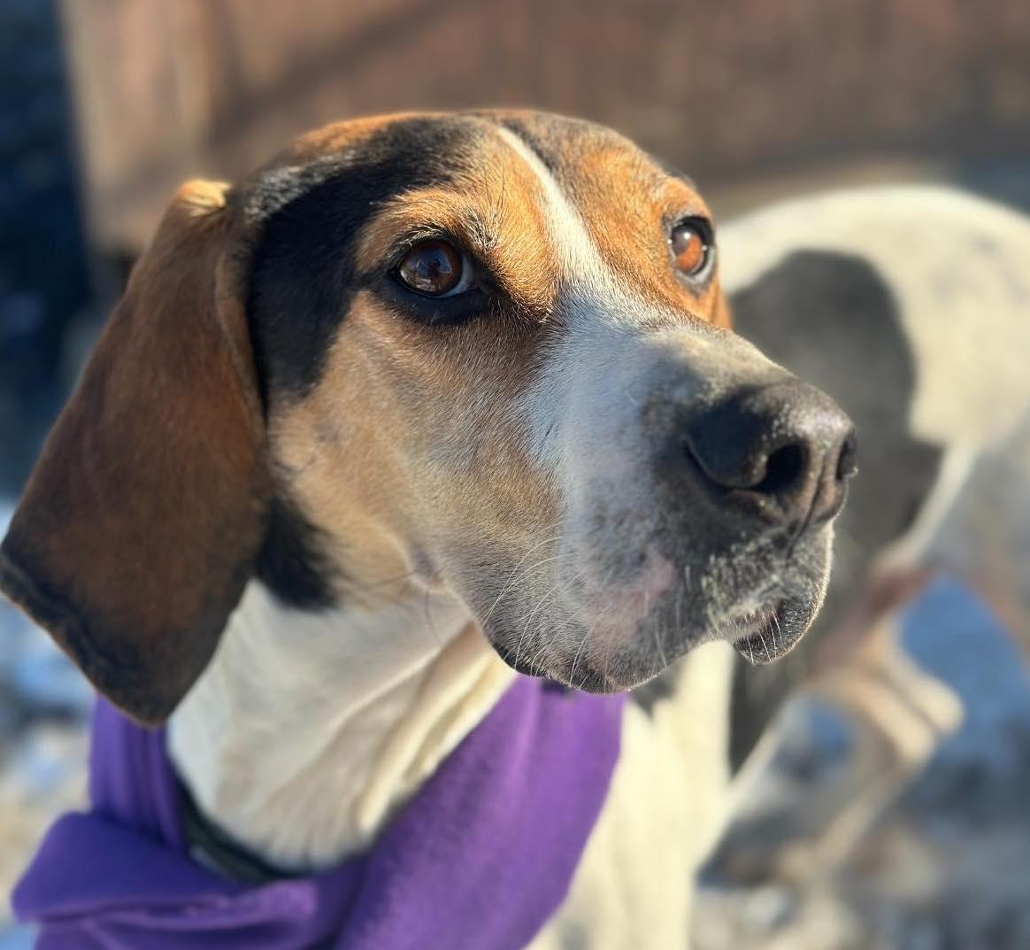 Baker — thumbnail 3