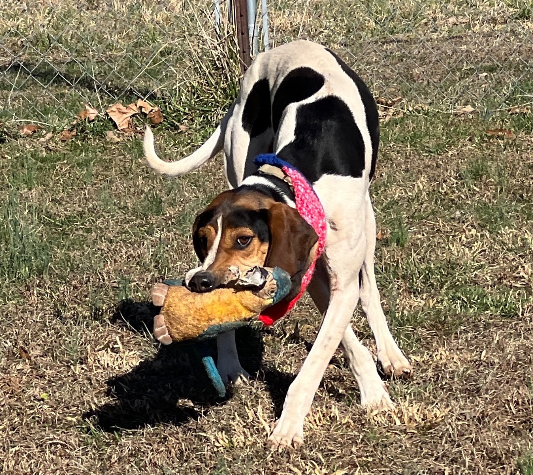 Baker — thumbnail 4