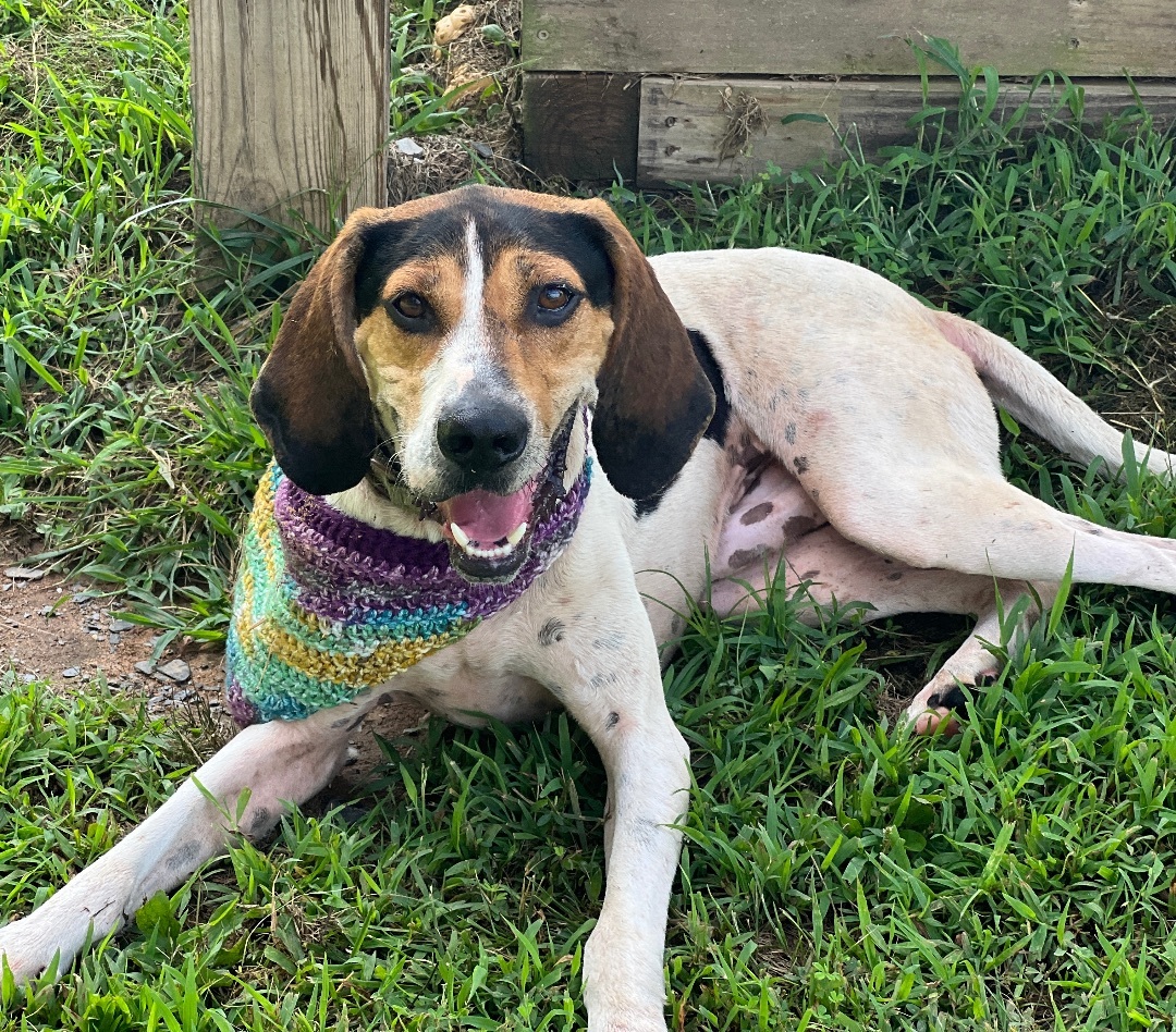 Baker — thumbnail 6