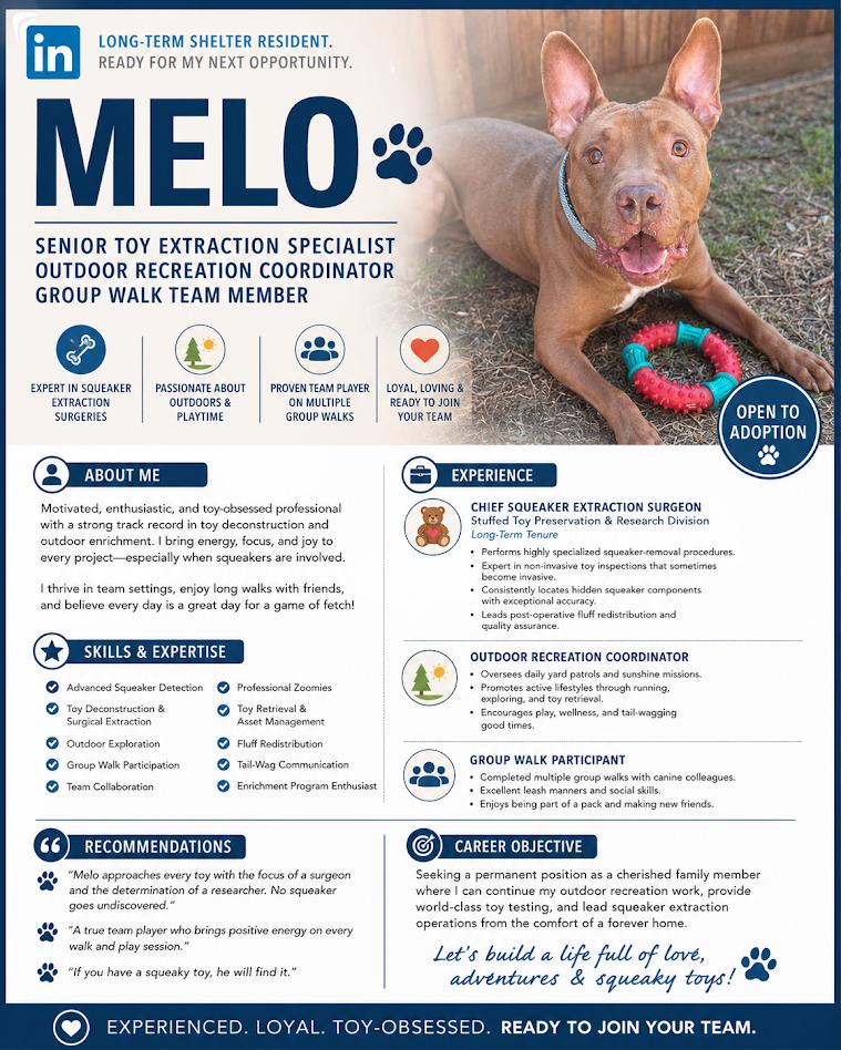 Melo* A177526, a Adoptable mixed breed in Plano, TX image 1/6