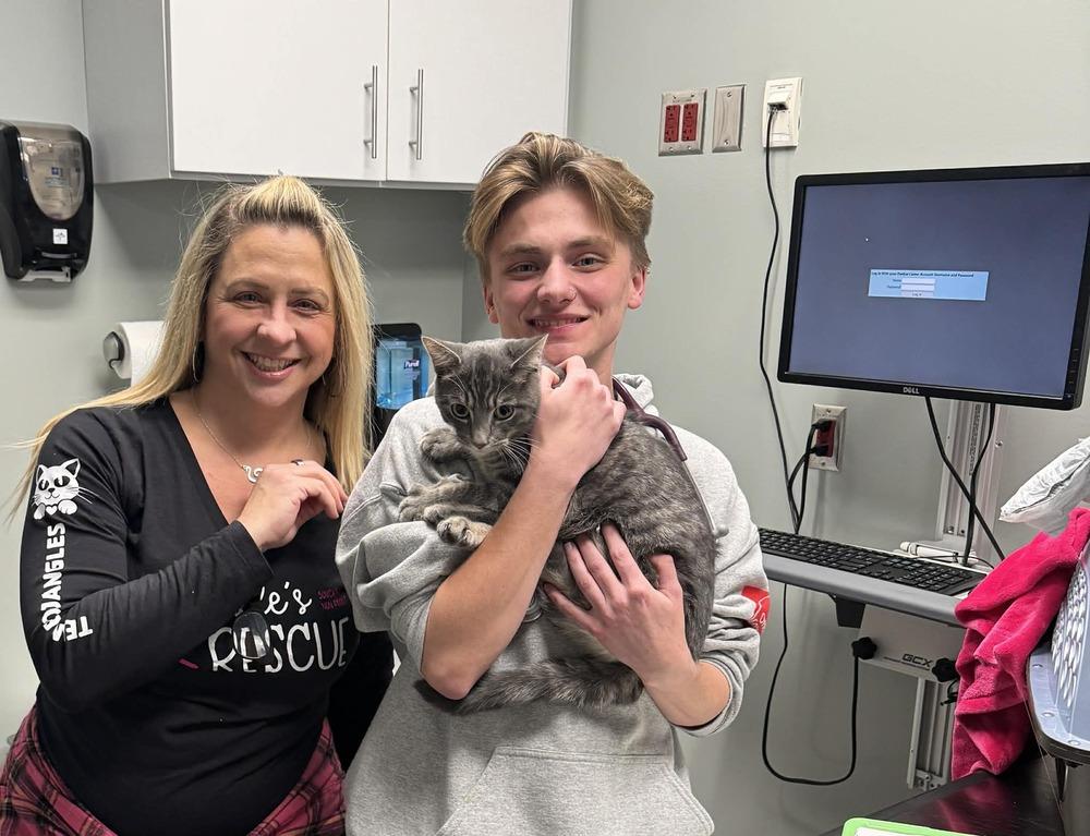 Enlarge Bojangles, a Adoptable mixed breed in Grand Rapids, MI image 6/6