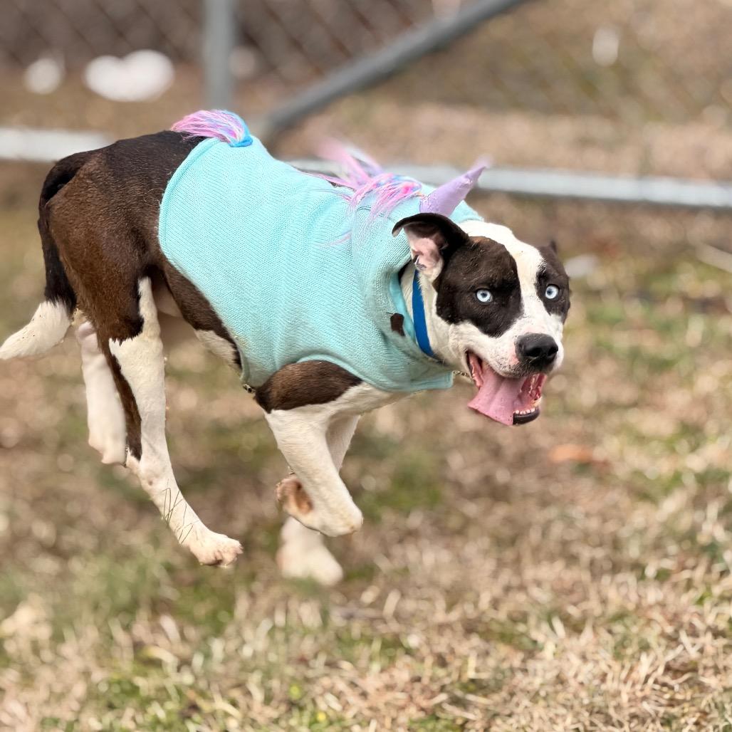 Blue — thumbnail 3