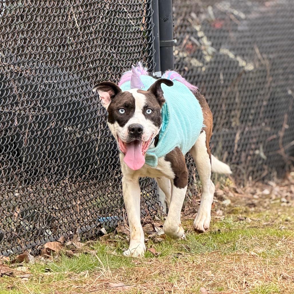 Blue — thumbnail 6